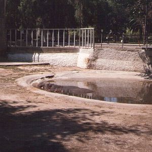 Giardino Zoologico, Napoli, 1996