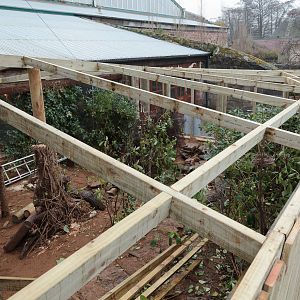 Sumatran Laughingthrush Aviary Redevelopment - 22/01/2011