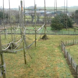 Black Howler Enclosure.