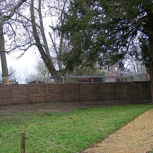 Offshow cheetah enclosure at Marwell Wildlife, 23 January 2011
