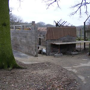 New cheetah housing at Marwell Wildlife, 23 January 2011