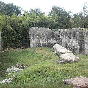Lion exhibit