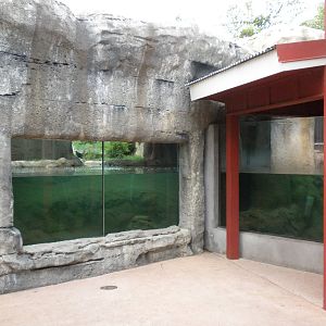 Alligator exhibits