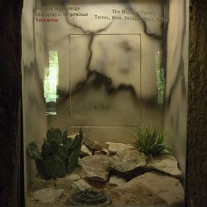 BRC herp exhibit