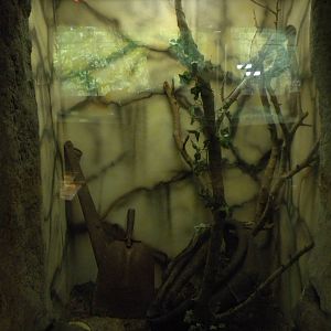 BRC herp exhibit
