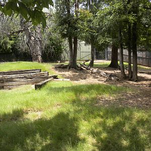 White-Tailed Deer exhibit