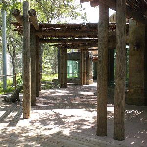 Komodo Dragon exhibit