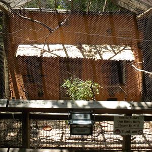 African Aviary