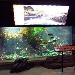 Treasures Of The B.C. Coast Gallery