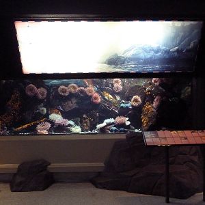 Treasures Of The B.C. Coast Gallery