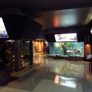 Treasures Of The B.C. Coast Gallery