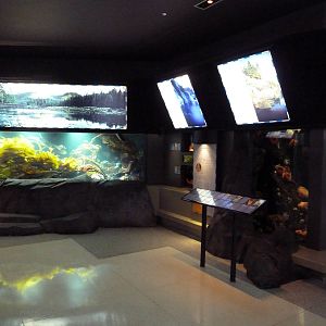 Treasures Of The B.C. Coast Gallery