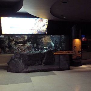 Treasures Of The B.C. Coast Gallery