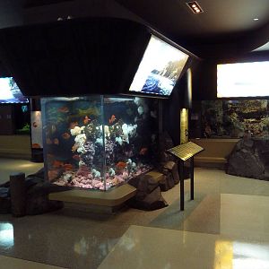 Treasures Of The B.C. Coast Gallery