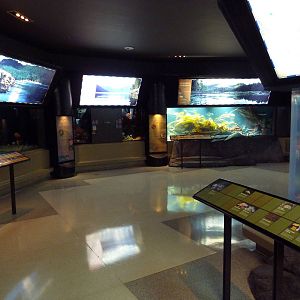 Treasures Of The B.C. Coast Gallery