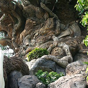 Tree of Life detail at Disneys Animal Kingdom 22/03/05