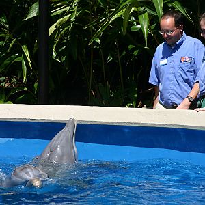 Dolphin Nursery at SeaWorld Orlando 20/03/05