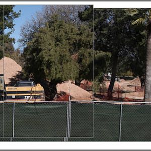 elephant construction - Jan 27, 2011