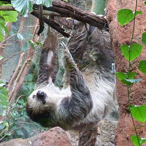 On the other side of the Termite Mound