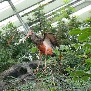 Colors are a Changin'