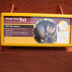 Panay Cloud Rat Signage