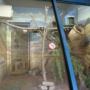 One of Two Panay Cloud Rat Enclosures