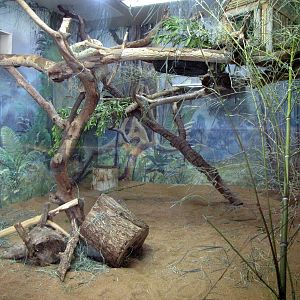 One of Two Panay Cloud Rat Enclosures