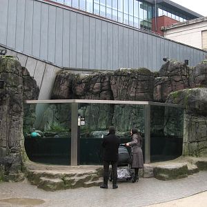 former sea otter pool