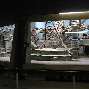 Temple in the ape house