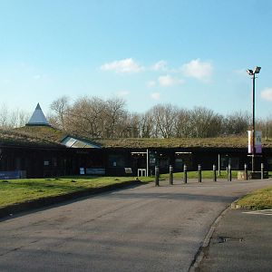 Main Entrance at Martin Mere, 28/01/11