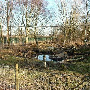 Beaver Exhibit at Martin Mere, 28/01/11