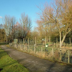 Crane Pens at Martin Mere, 28/01/11