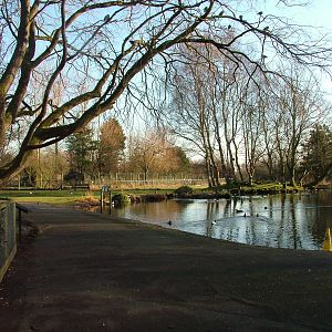 General View at Martin Mere, 28/01/11