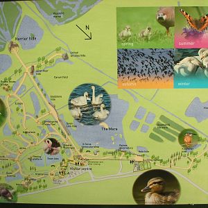 Centre Map at Martin Mere, 28/01/11