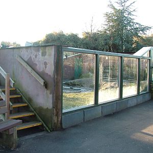 Otter Exhibit at Martin Mere, 28/01/11