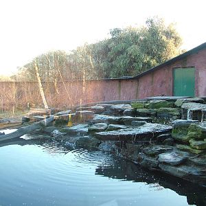 Otter Exhibit at Martin Mere, 28/01/11