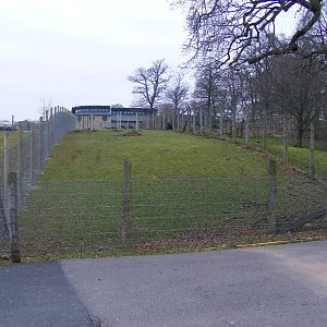 Extension to cheetah enclosure at Marwell Wildlife, 29 January 2011