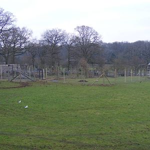 Rear view of extended cheetah enclosure at Marwell Wildlife, 29 January 201