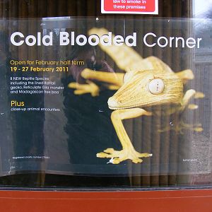 Cold Blooded Corner advertisement at Marwell Wildlife, 29 January 2011