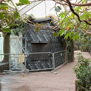 Reticulated Python Vivarium - 29/01/2011