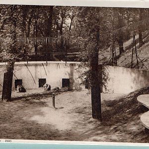 OLD ZOO LION ENCLOSURE BEFORE 1950
