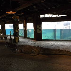 Alligator and Otter exhibits