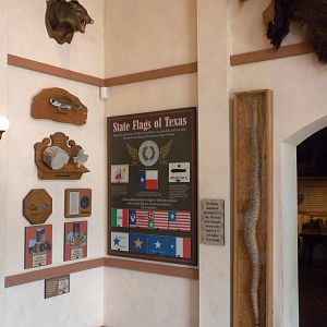 Texas Hall of Wonders