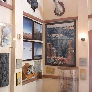 Texas Hall of Wonders