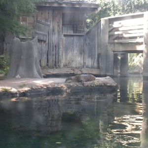 Otter exhibit