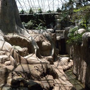 Indoor Gorilla exhibit