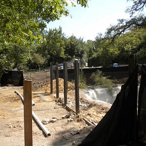 Outdoor penguin exhibit construction