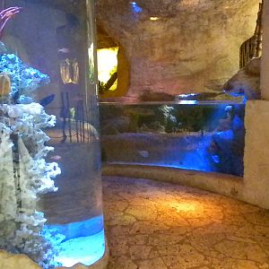 Mundo Maya aquariums