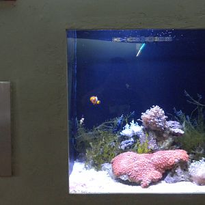 New Guinea microexhibit