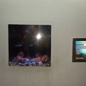 British Columbia microexhibit